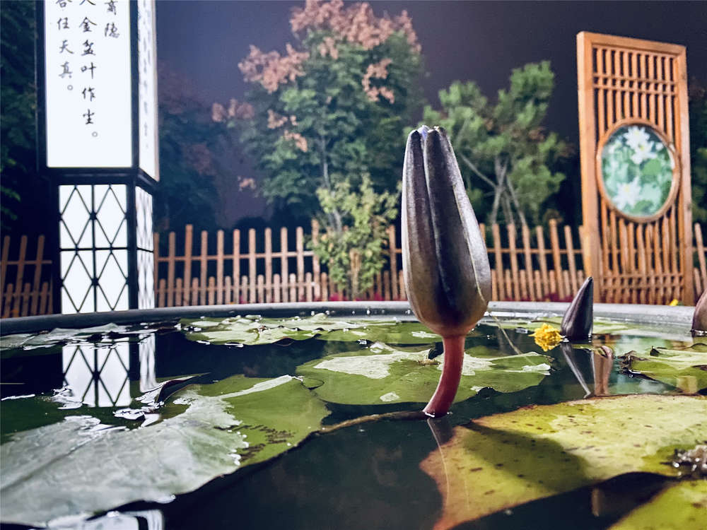 雙柱雙面鋼制書架 